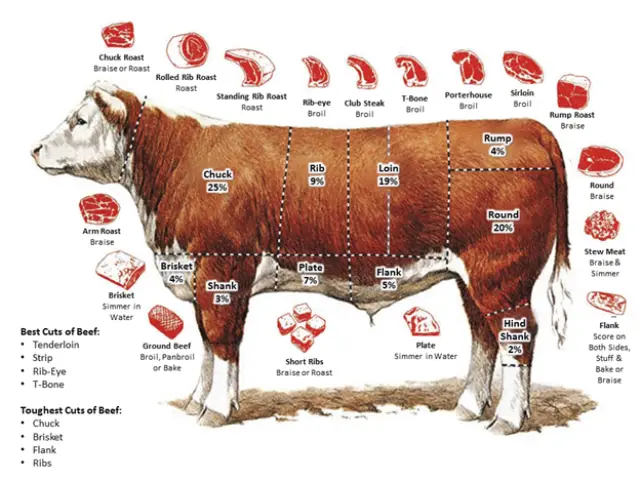 What's the Most Expensive Cut of Beef? - Clover Meadows Beef